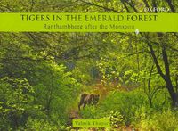 Produktbild: Tigers in the Emerald Forest