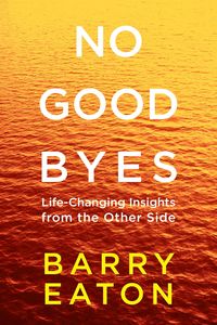 Produktbild: No Goodbyes