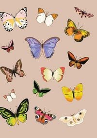 Produktbild: Metamorphosis Journal
