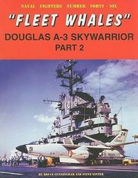 Bild vom Artikel Fleet Whales Doug A-3 Skywarrior Pt. 2 vom Autor Bruce Cunningham