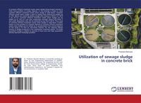 Produktbild: Utilization of sewage sludge in concrete brick