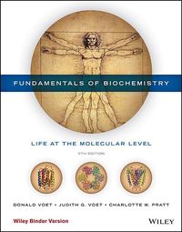 Produktbild: Fundamentals of Biochemistry