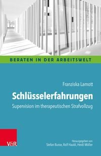 Produktbild: Schl&uuml;sselerfahrungen: Supervision im therapeutischen Strafvollzug