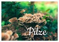 Produktbild: Ein Ausflug in die magische Welt der Pilze (Wandkalender 2026 DIN A2 quer), CALVENDO Monatskalender