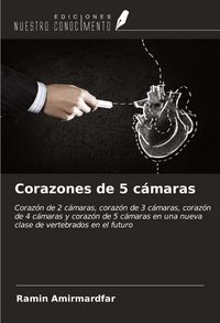 Produktbild: Corazones de 5 c&aacute;maras