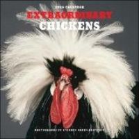 Produktbild: Extraordinary Chickens 2026 Wall Calendar