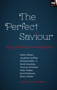 Produktbild: The Perfect Saviour
