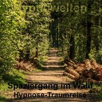 Produktbild: Spaziergang im Wald