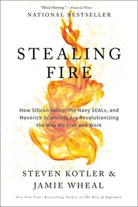 Produktbild: Stealing Fire