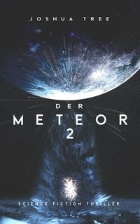 Bild vom Artikel Der Meteor 2 vom Autor Joshua Tree