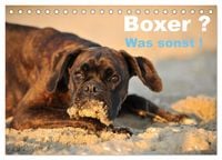 Produktbild: Boxer ? Was sonst ! (Tischkalender 2027 DIN A5 quer), CALVENDO Monatskalender