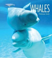 Produktbild: Living Wild: Whales