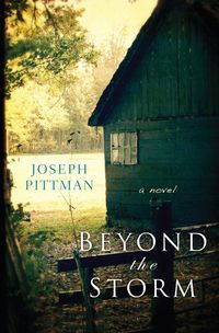 Produktbild: Beyond the Storm