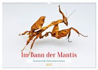 Produktbild: Im Bann der Mantis (Wandkalender 2027 DIN A3 quer), CALVENDO Monatskalender