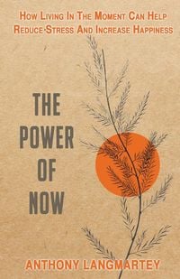 Produktbild: The Power of Now