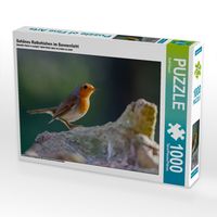 Produktbild: CALVENDO Puzzle Sch&ouml;nes Rotkehlchen im Sonnenlicht | 1000 Teile Lege-Gr&ouml;&szlig;e 64x48cm Foto-Puzzle f&uuml;r gl&uuml;ckliche Stunden