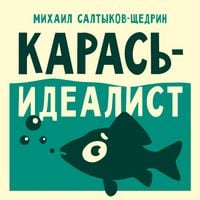 Produktbild: Karas'-idealist