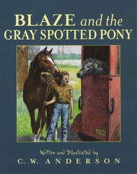 Produktbild: Blaze and the Gray Spotted Pony