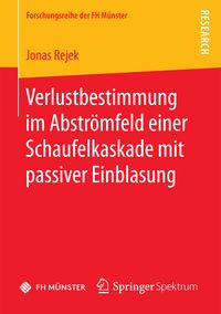 Produktbild: Verlustbestimmung im Abstr&ouml;mfeld einer Schaufelkaskade mit passiver Einblasung