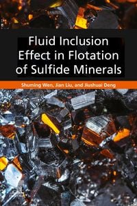 Produktbild: Fluid Inclusion Effect in Flotation of Sulfide Minerals