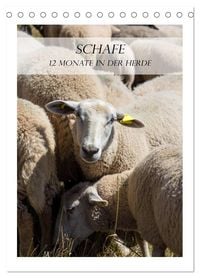 Produktbild: Schafe - 12 Monate in der Herde (Tischkalender 2026 DIN A5 hoch), CALVENDO Monatskalender