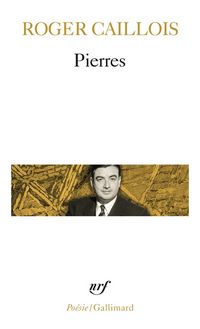 Produktbild: Pierres Autres Textes