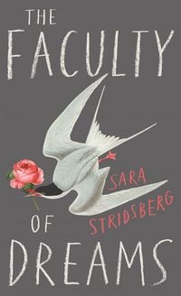 Produktbild: The Faculty of Dreams