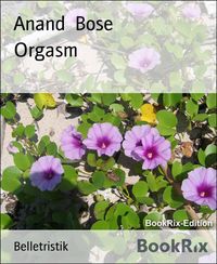 Produktbild: Orgasm