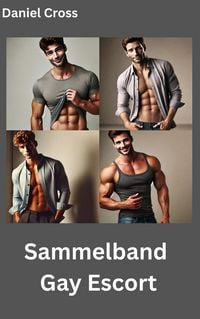 Produktbild: Sammelband Gay Escort