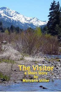 Produktbild: Visitor
