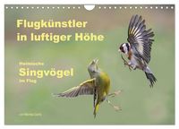 Produktbild: Flugk&uuml;nstler in luftiger H&ouml;he - Heimische Singv&ouml;gel im Flug (Wandkalender 2027 DIN A4 quer), CALVENDO Monatskalender