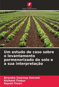 Produktbild: Um estudo de caso sobre o levantamento pormenorizado do solo e a sua interpreta&ccedil;&atilde;o