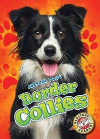 Produktbild: Border Collies