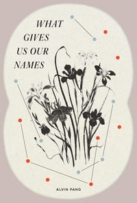 Produktbild: What Gives Us Our Names