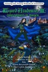 Produktbild: Wizard Academies III - Crossroads of Magick