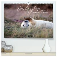 Produktbild: Grey Seal Pups of Donna Nook (High Quality Premium Wall Calendar 2027 DIN A2 landscape),CALVENDO 12 Month Wall Calendar