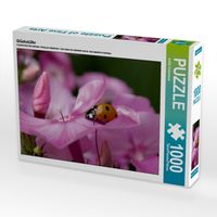 Produktbild: CALVENDO Puzzle Gl&uuml;cksk&auml;fer | 1000 Teile Lege-Gr&ouml;&szlig;e 64x48cm Foto-Puzzle f&uuml;r gl&uuml;ckliche Stunden