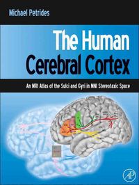 Produktbild: The Human Cerebral Cortex