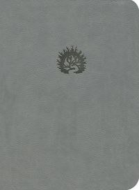 Produktbild: Lbla La Biblia de Estudio de la Reforma, S&iacute;mil Piel, Gris Claro, Spanish Edition