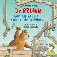 Bild vom Artikel Dr. Brumm baut ein Haus / Anpfiff für Dr. Brumm (Dr. Brumm) vom Autor Daniel Napp