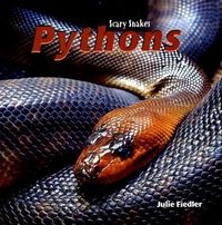 Produktbild: Pythons -Lib