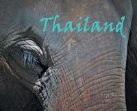 Produktbild: Thailand