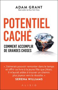 Produktbild: Potentiel cach&eacute; : comment accomplir de grandes choses