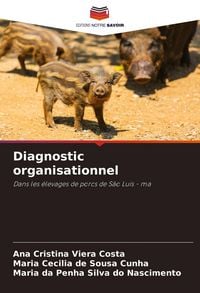 Produktbild: Diagnostic organisationnel