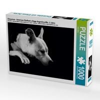 Produktbild: CALVENDO Puzzle Cheyenne - American Stafford x Dogo Argentino-Mix, 2 Jahre 1000 Teile Puzzle quer | 1000 Teile Lege-Gr&ouml;&szlig;e 64 &times; 48 cm Foto-Puzzle f&uuml;r gl&uuml;ckliche Stunden