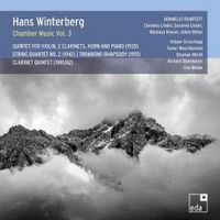 Produktbild: Winterberg: Kammermusik,Vol. 3