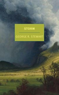 Bild vom Artikel Storm vom Autor George R. Stewart