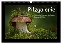 Produktbild: Pilzgalerie - Heimische Pilze aus der Region Rheinland-Pfalz (Wandkalender 2026 DIN A3 quer), CALVENDO Monatskalender