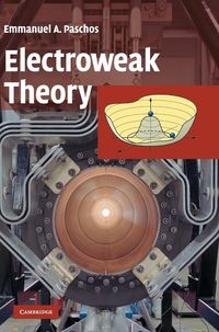 Produktbild: Electroweak Theory