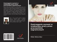 Produktbild: Postrzeganie wyzwa&iquest; w &iquest;rodowisku pracy przez pracownik&oacute;w zagranicznych
